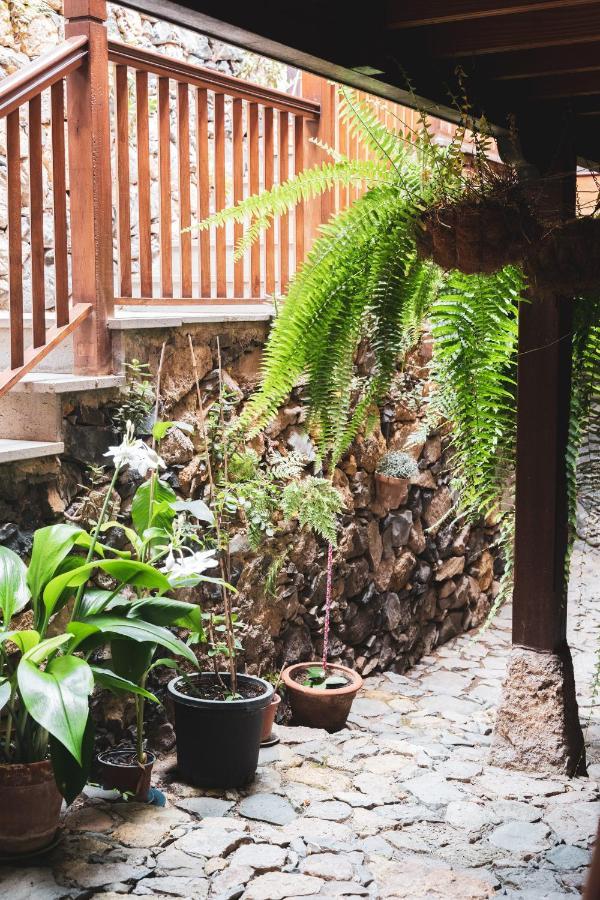 Casa Rural Los Madronos 巴列埃尔莫索 外观 照片